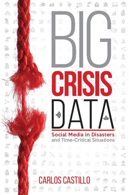 Big Crisis Data - cover