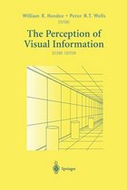 The Perception of Visual Information