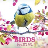 Birds Calendar 2019