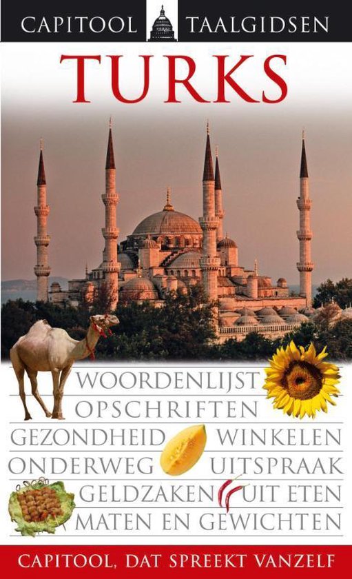 Cover van het boek 'Turks'