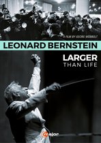 Bernsteinlarger Than Life