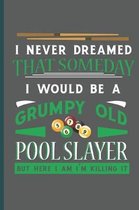 I Never Dreamed That Someday I Would Be Grumpy Old Pool Slayer