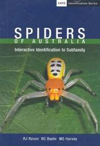 Spiders of Australia