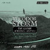 Storm, T: Die große Hörspiel-Edition/7 CDs