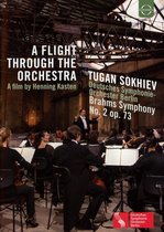 A Flight Through The Orchestra