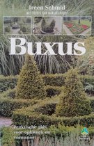 Buxus