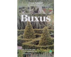 Buxus