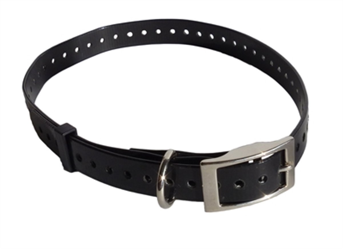 Riem Martin Sellier