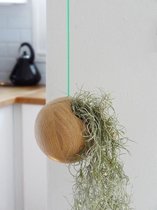 Sphere  with Mint Cord + Usenoidus
