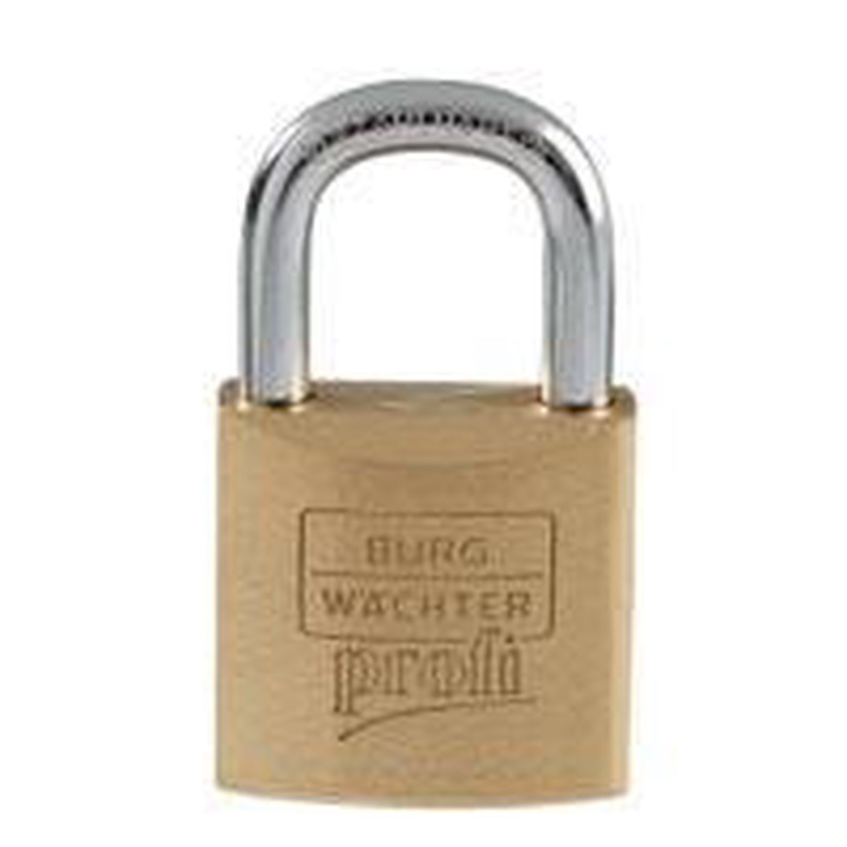 Buy Burg Wächter 4481 Keyhole lock Electronic