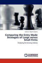 Comparing the Entry Mode Strategies of Large Versus Small Firms