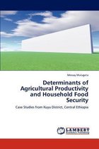 Determinants of Agricultural Productivity and Household Food Security