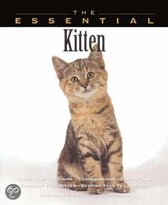 The Essential Kitten