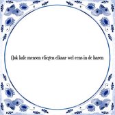 Tegeltje met Spreuk (Tegeltjeswijsheid): Ook kale mensen vliegen elkaar wel eens in de haren + Kado verpakking & Plakhanger