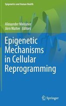 Epigenetic Mechanisms in Cellular Reprogramming