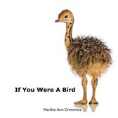 If You Were a Bird