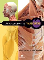 Anatomía - Atlas conciso de los músculos (Color)