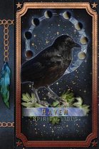 Raven Spirit Guides