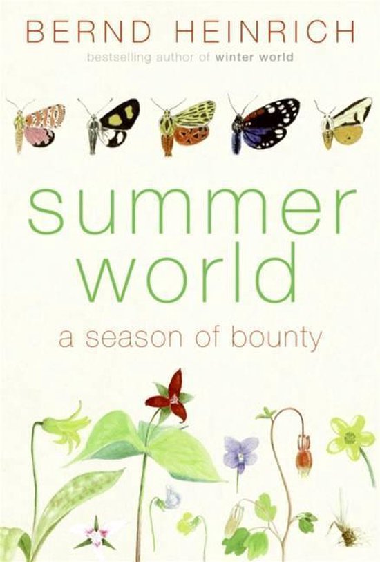 Summer World - cover