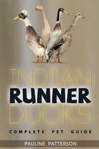 Indian Runner Ducks