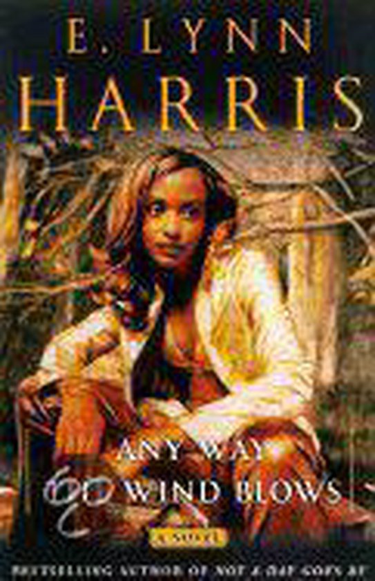 Any Way the Wind Blows, E. Lynn Harris | 9780385495059 | Boeken | bol.com