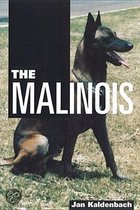 The Malinois