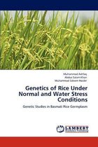 Genetics of Rice Under Normal and Water Stress Conditions