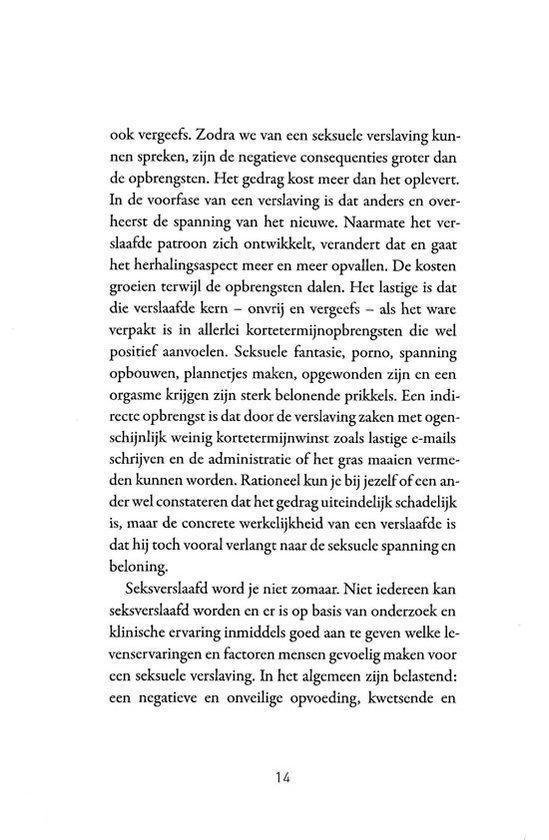 Pagina 14 met tekst over de kosten van seksverslaving en de behandelingsaanpak.