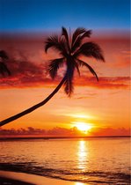 Strand poster - zee - tropisch -palm - vakantie - 61 x 91.5 cm