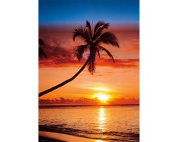 Strand poster - zee - tropisch -palm - vakantie - 61 x 91.5 cm