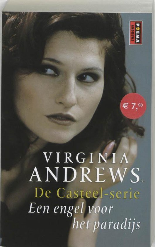 Cover van het boek 'De Casteel-serie / 4 Een engel voor het paradijs'