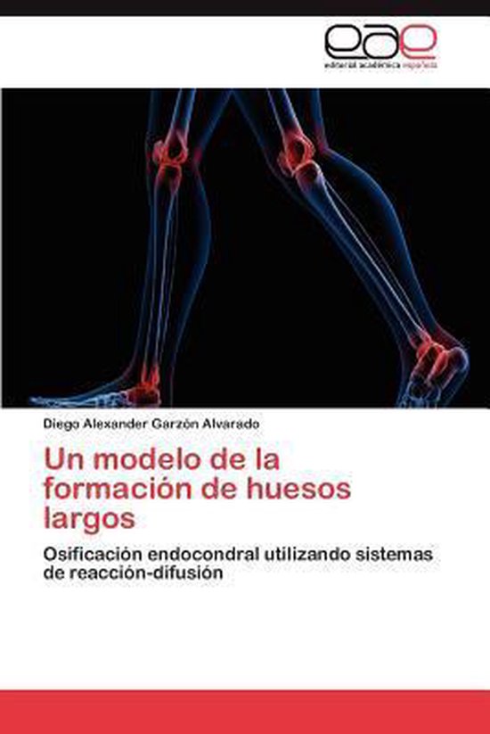 Un modelo de la formación de huesos largos - cover