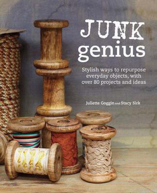 Junk Genius - cover