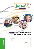 Factor-E - Interventies in de groep voor SCW en PWJ