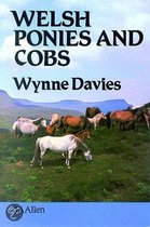 Welsh Ponies and Cobs