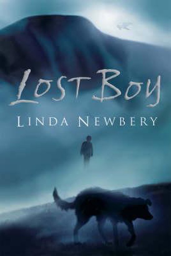 Boekomslag van 'Lost Boy' van Linda Newbery. Een jongen en een hond staan tegen een berglandschap.