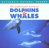 Natural Sounds: Dolphins & Whales