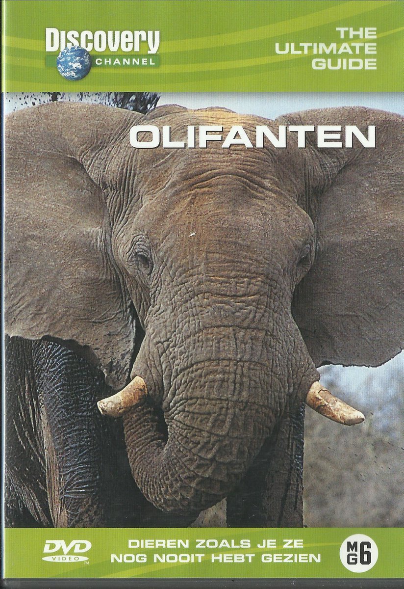 Olifanten