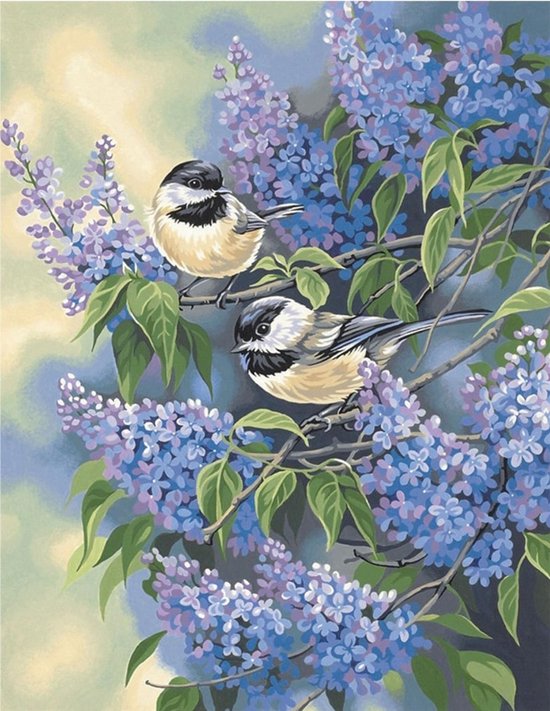 Diamond Painting Pakket volwassenen - Vogeltjes - FULL + Opbergdoos + Roller - Compleet pakket - Niet opgerold - Diamond Paintings - 40x40 cm - SEOS Shop ®