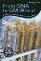 From DNA to Gm Wheat
