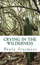 Crying in the Wilderness