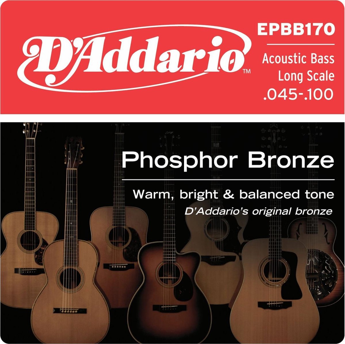 D'Addario EPBB170 Phosphor Bronze 4-String Acoustic Bass 45-100