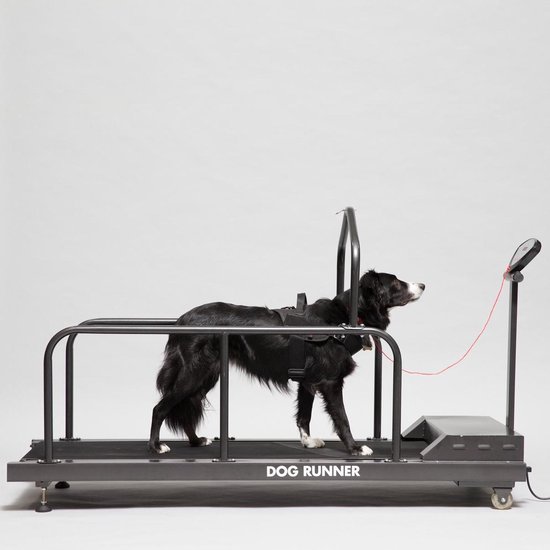 Dog Runner Treadmill Revolution Pro Maximum K9 Services, 44 OFF