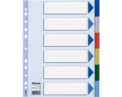 Esselte tabbladen kunststof 6 tabs gekleurd