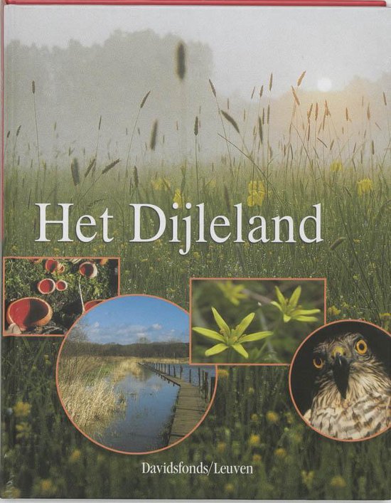 Cover van het boek 'Het Dijleland' van N. Boone en B. Vercoutere