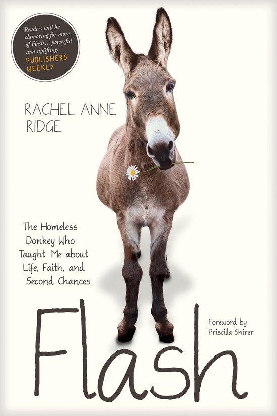 Flash the Donkey - Flash