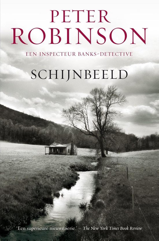 DCI Banks 5 - Schijnbeeld - cover