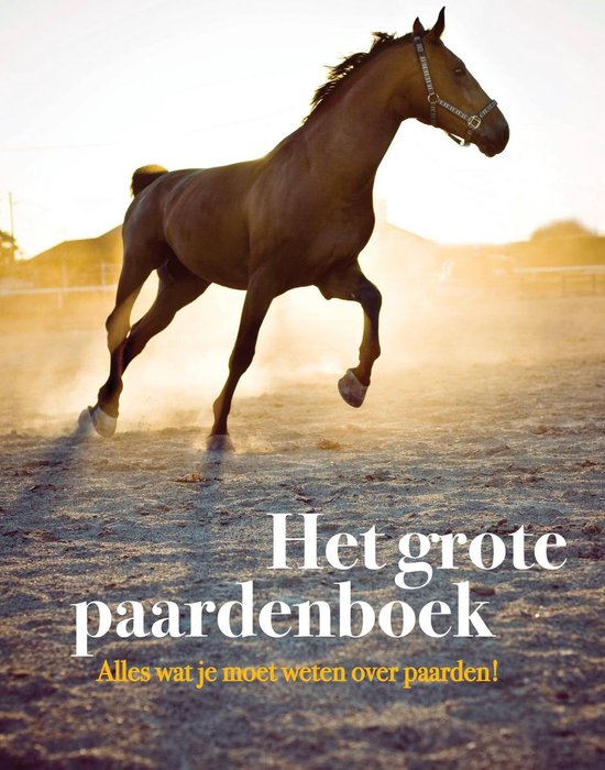 Bruin paard rent door zand, met 'Het grote paardenboek' en 'Alles wat je moet weten over paarden!'