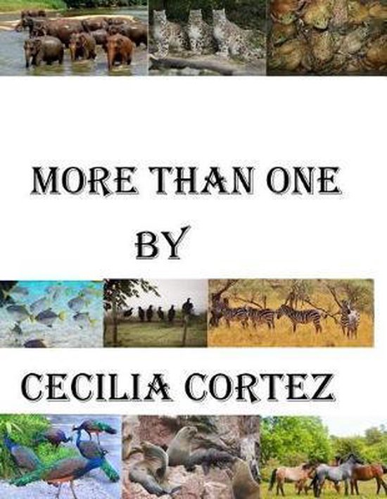 More than one - cover