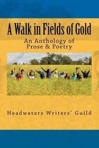 A Walk in Fields of Gold